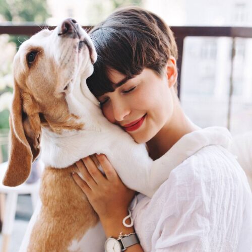 Alimentos para tu mascota (secos, húmedos, específicos, prescrito)
