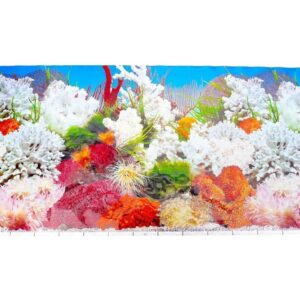 Lámina Panorama De Corales Y Plantas Para Peceras 12"x18"