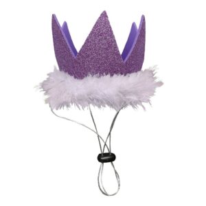 Huxley & Kent Corona De Fiesta Con Purpurina Para Mascotas 3.5"