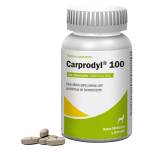 Carprodyl 100 Antiinflamatorio Analgesico Y Antipiretico Para Perros 1 Tableta